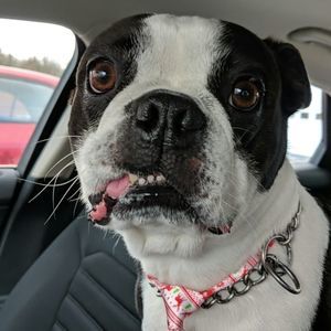 Meet your Posher, Joanne